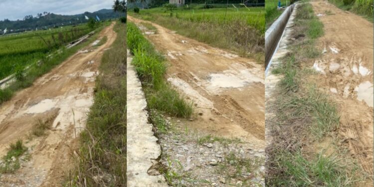 Kualitas Kontraktor Pemenang Lelang Jalan Sukamaju Dipertanyakan, Proyek Terancam Amburadul