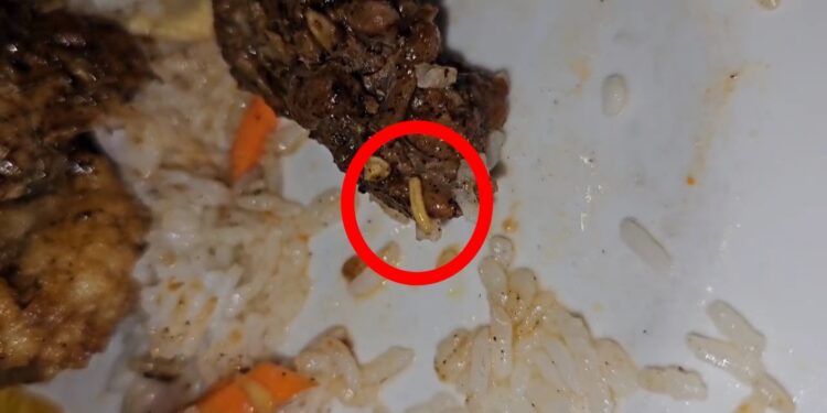 Tamu Hotel Berbintang di Samarinda Temukan Belatung di Makanan, Manajemen: Belum Ada Keluhan Secara Langsung